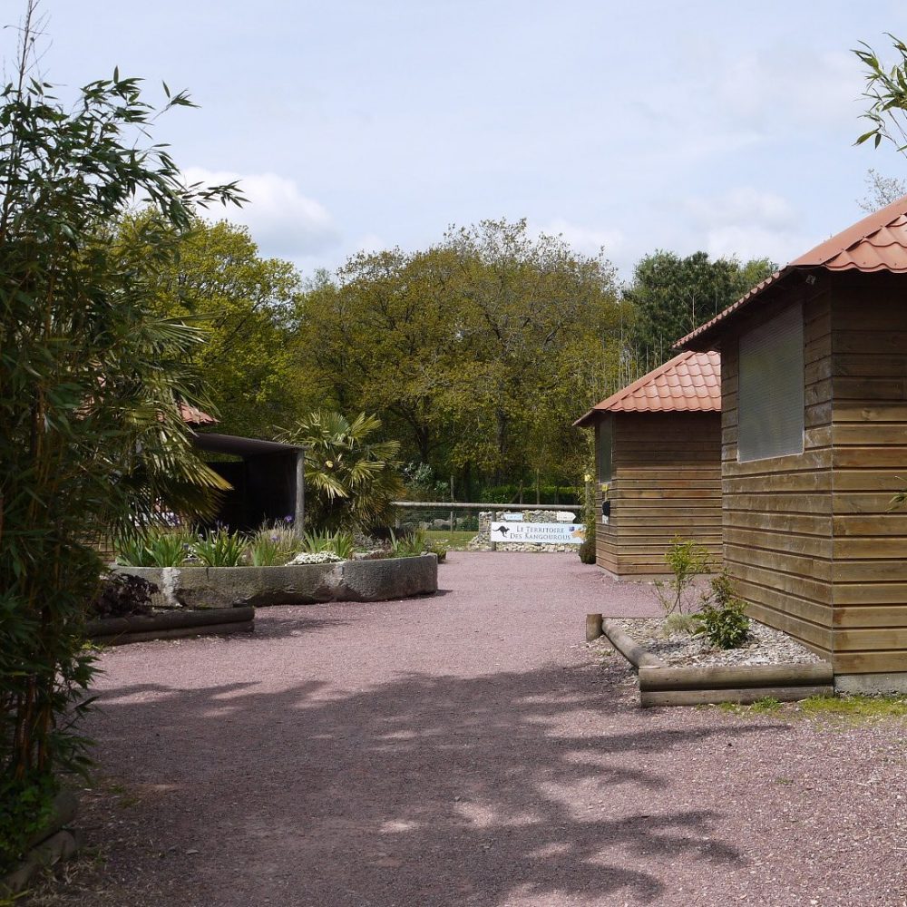 Vignette Village des reptiles