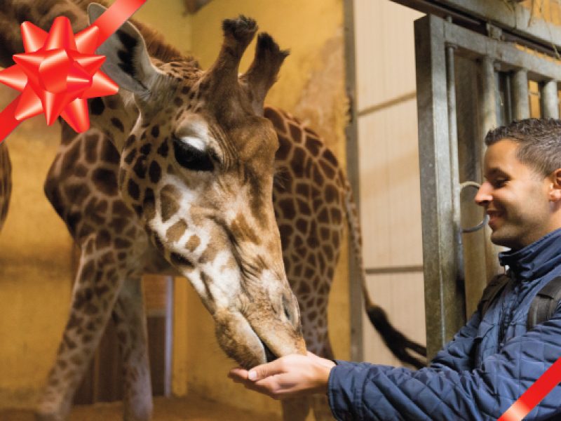 photo Dans la peau d&rsquo;un soigneur