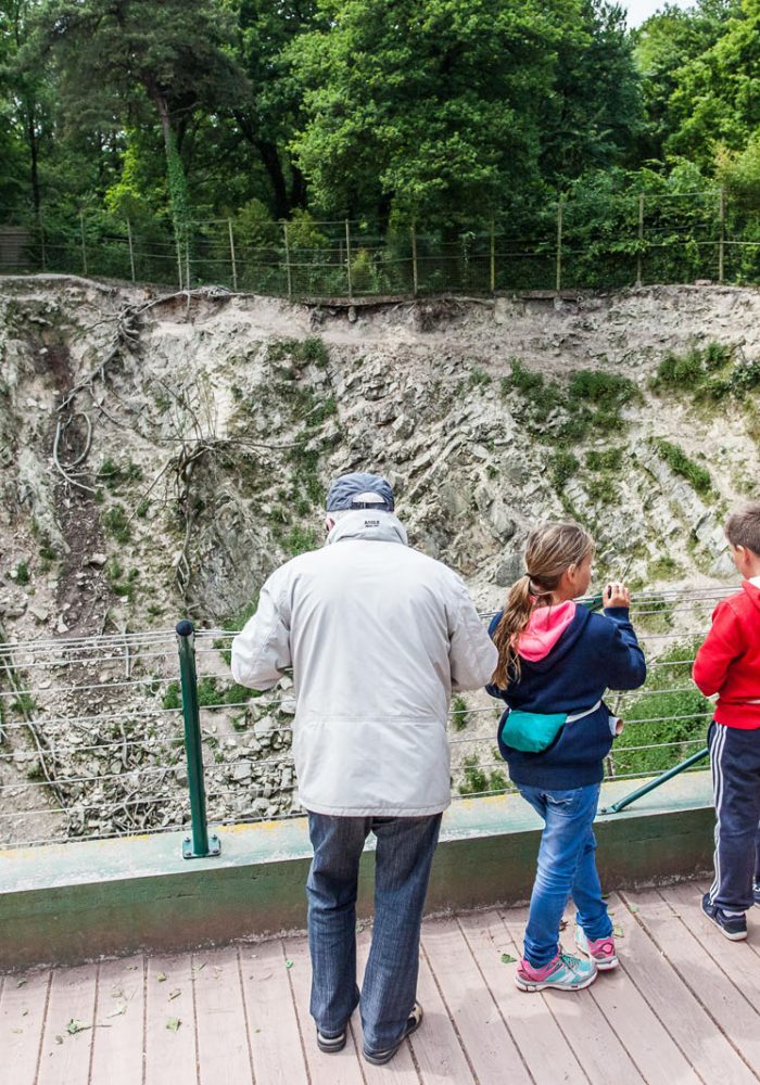 Vignette Montagne d&rsquo;afrique