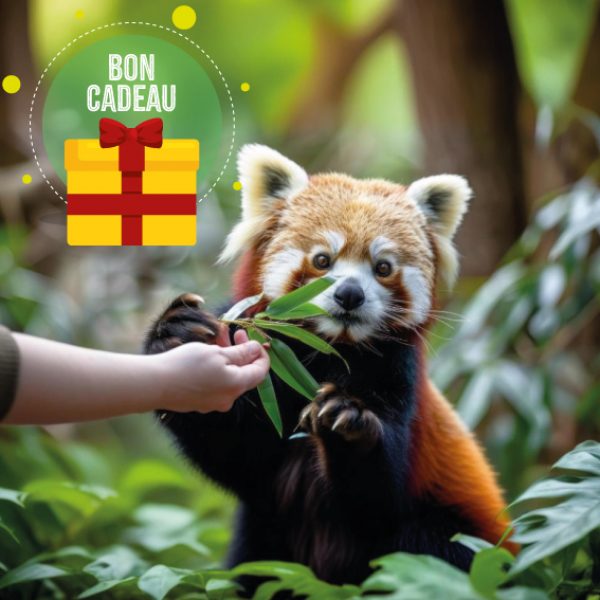 Bon Cadeau – Dans la peau d&rsquo;un soigneur KID