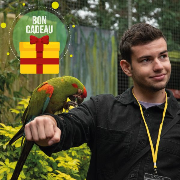 Bon Cadeau – Dans la peau d&rsquo;un soigneur