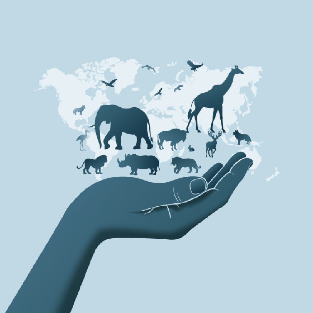 Vignette Week-end Conservation les 19 et 20 juillet au Zoo de Jurques