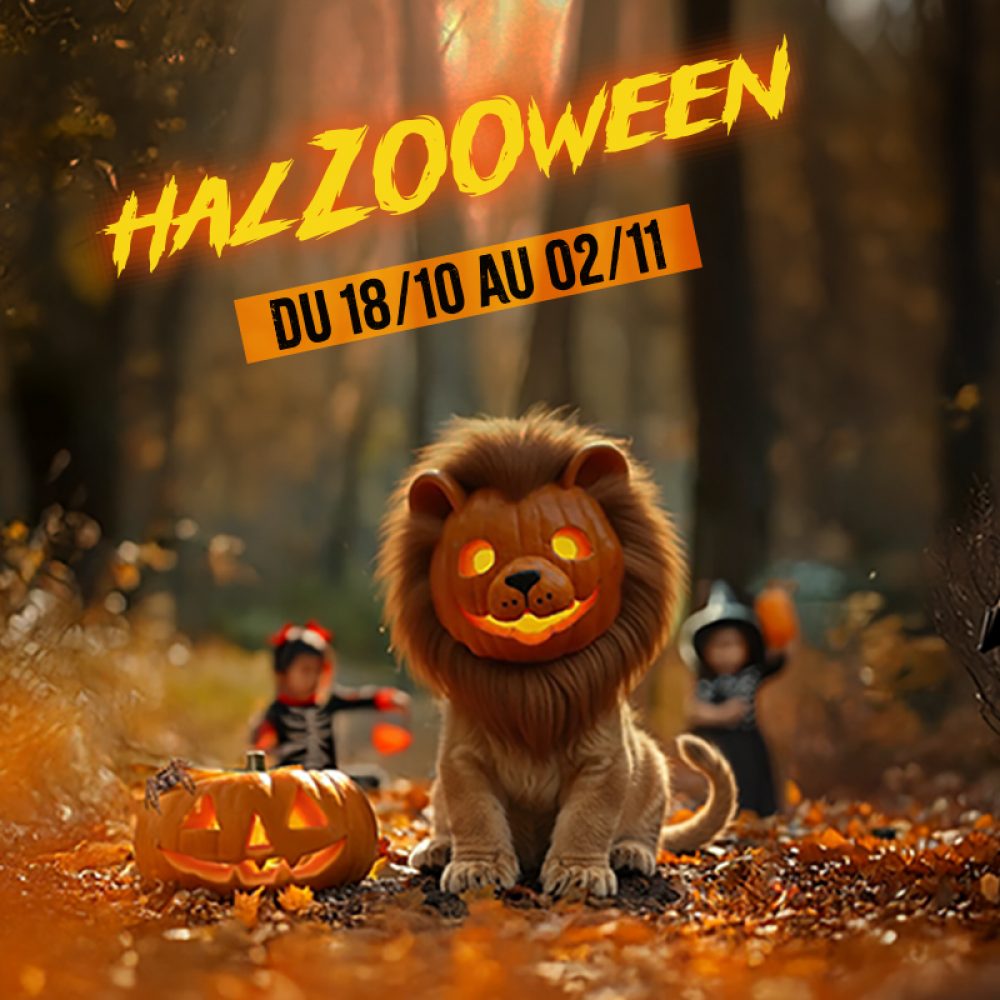 Vignette HalZOOween arrive au Zoo de Jurques ! 🎃
